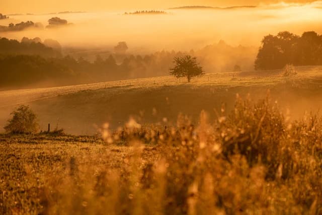Fotograf jak zacząć - Kluczowe wskazówki dla początkujących fotografów Fotograf jak zacząć - Kluczowe wskazówki dla początkujących fotografów